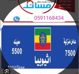 شغالات بالشهر بالحساء - 9