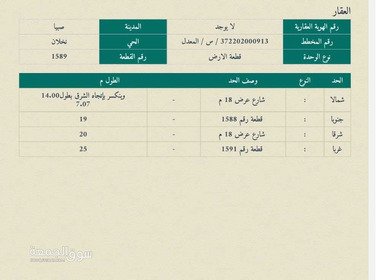 نخلان بيع ارض صبيا ابو السلع صبيا - 3